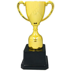 Picture of TROPHY 7" IN A BAG - 1PC