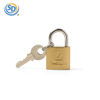 Picture of PADLOCK 20MM 1PC